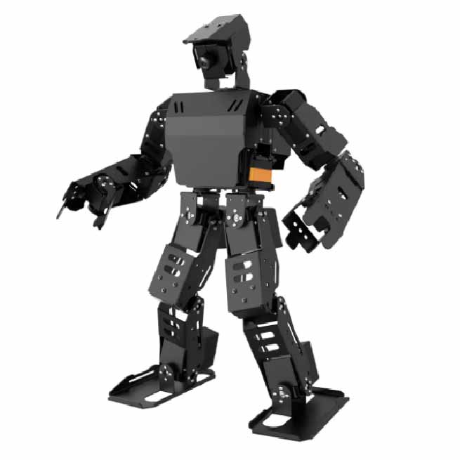 Humanoid Robot